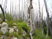 Skyline Trail, Manning Park