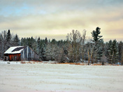 Farmland Winter