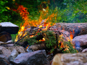 Campfire