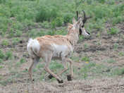 On the run in the mud