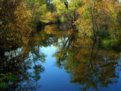 Seine River Reflection 