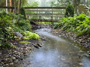 Bridge over creek