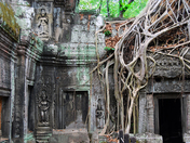 ancient angkor watt