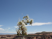 Colorado National Monument
