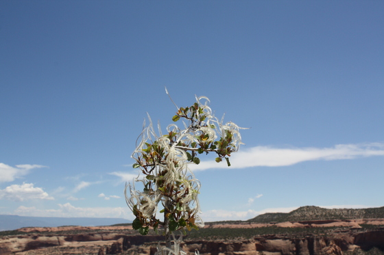 Colorado National Monument