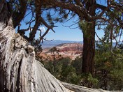 Bryce Canyon National Park
