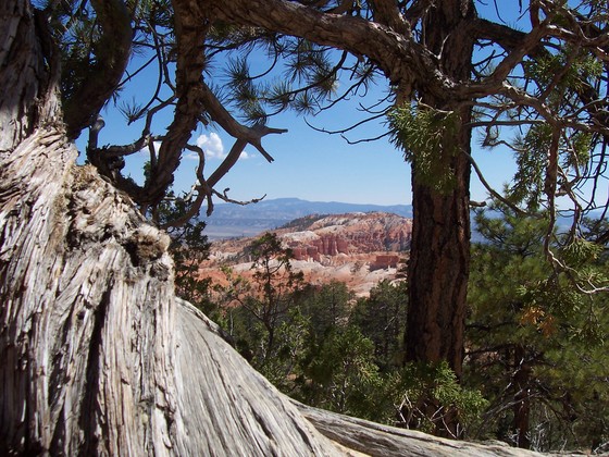 Bryce Canyon National Park