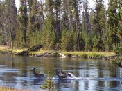 Grand Teton National Park