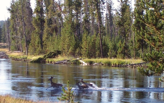 Grand Teton National Park