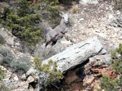 Grand Canoyon National Park