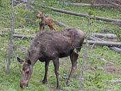 Grand Teton National Park