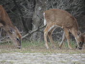 Cape Hattaras National Seashore