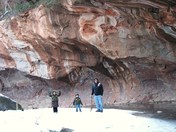 Coconino National Forest