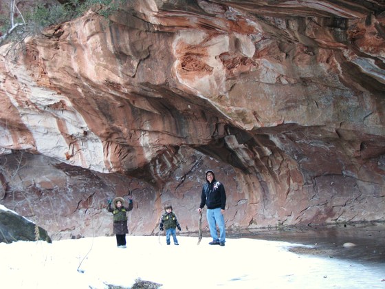 Coconino National Forest