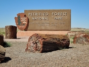 Petrified Forest National Park