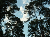 Natchez Trace Parkway