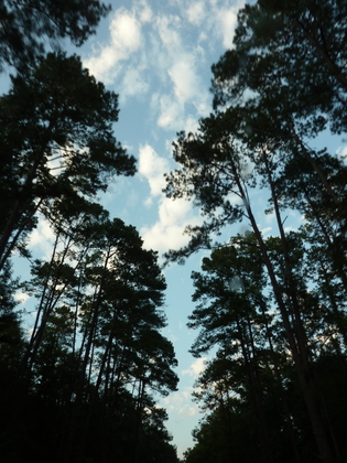Natchez Trace Parkway