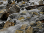 Wasatch National Forest