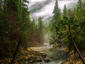 Yosemite National Park