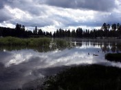 lassen national park