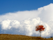 Black Hills National Forest