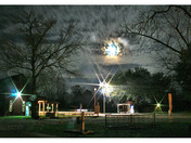 Atchafalaya Swamp, Louisiana