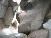 White River National Forrest