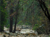 Yosemite National Park