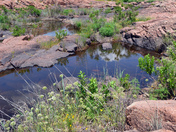 Wichita Mountain National Wildlife Refuge