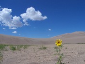 Great Sand Dunes National Park and Preserve