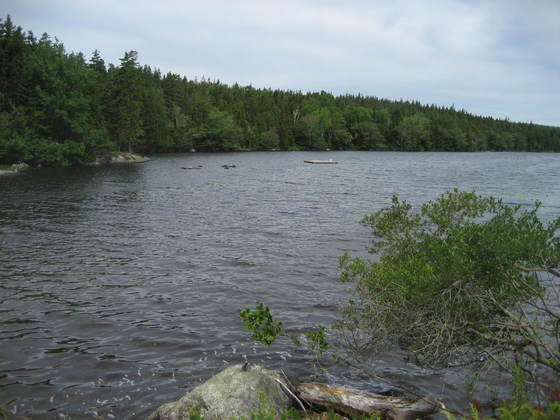 acadia national park