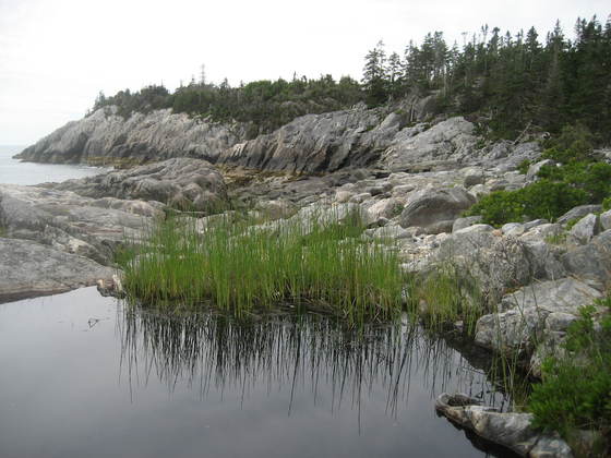 acadia national  park