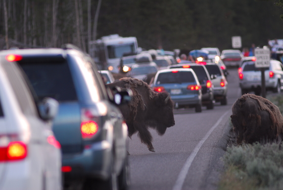Yellowstone National Park