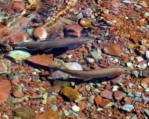 Glacier National Park