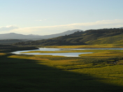Hayden Valley:  Yellowstone National Park