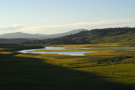 Hayden Valley:  Yellowstone National Park