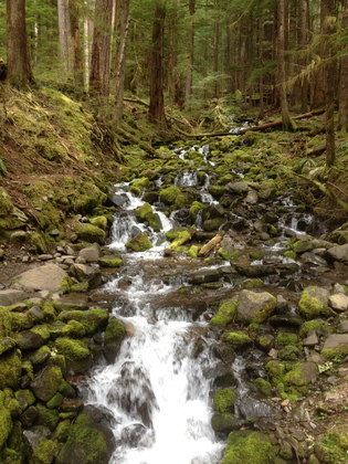 Olympic National Park