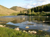 Medicine Bow National Forest