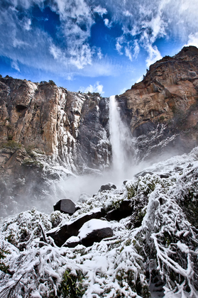 The bridalveil