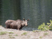 Northwest Passage Campground