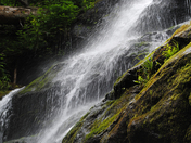 George Washington National Forest