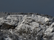 White Mountain National Forest