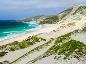 Channel Islands National Park