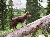 Fossil Ridge Wilderness Area