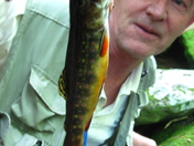 Great Smokey Mountains National Park