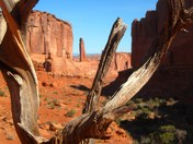 Arches National Park