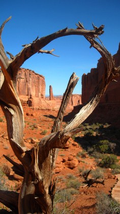Arches National Park
