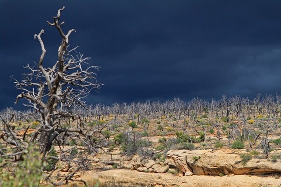 Mesa Verde NP