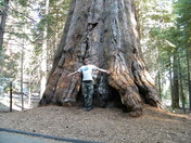 Sequoia national park