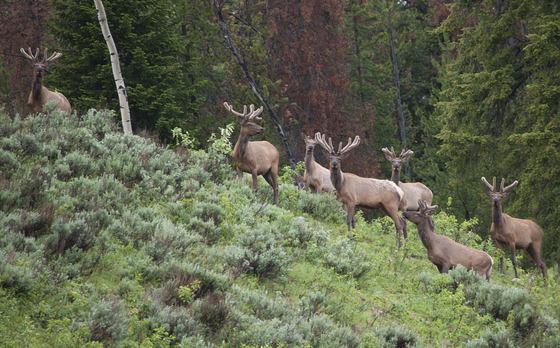 Teton national Park